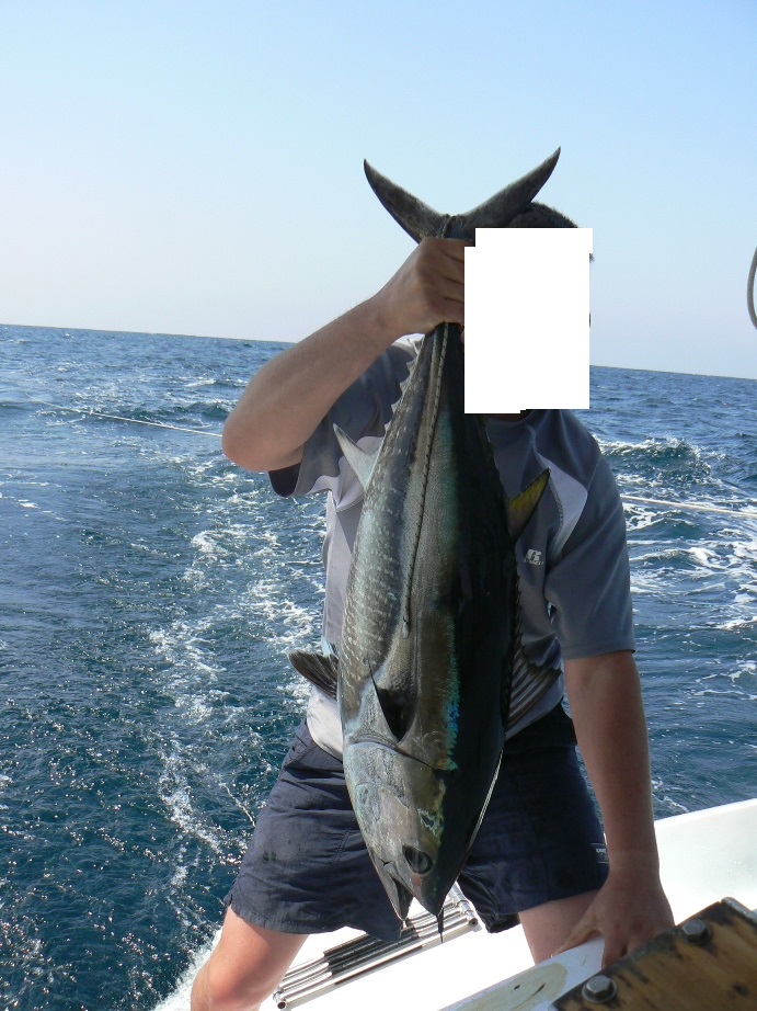 Key West tuna.JPG