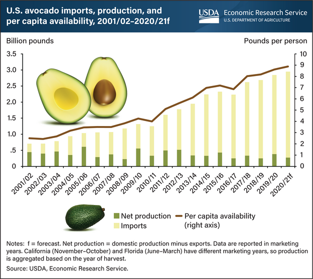 Screenshot 2025-03-17 at 19-55-51 Imports play dominant role as U.S. demand for avocados climbs Economic Research Service.png